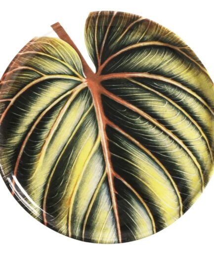 Prato sobremesa costela de Adão